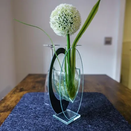 Mosel-apartments-koblenz Koblencja