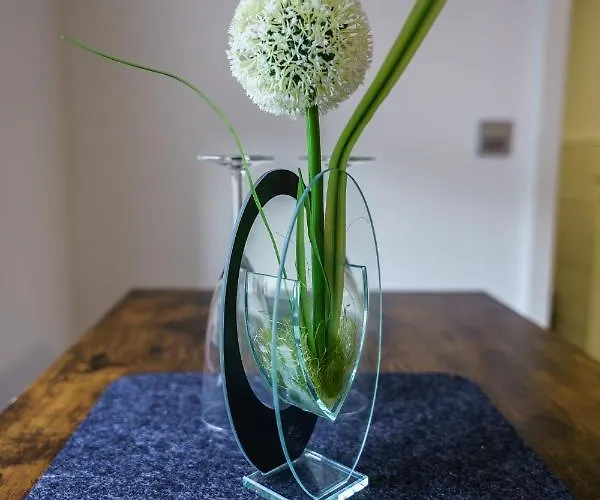 Mosel-apartments-koblenz Koblenz (Rhineland-Palatinate)